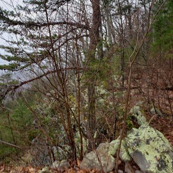 Bluff Mountain Adventures - ATV Rentals/Tours Near Me - Pigeon Forge, Tennessee
