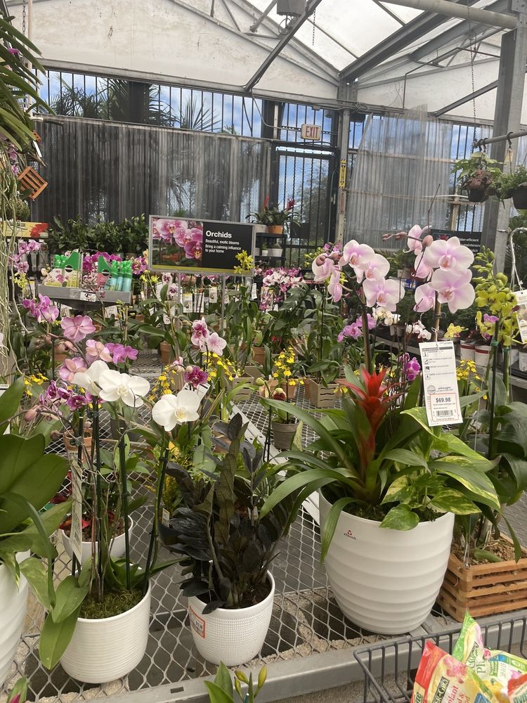 THE HOME DEPOT Updated August 2024 23 Reviews 3030 SE Federal Hwy, Stuart, Florida