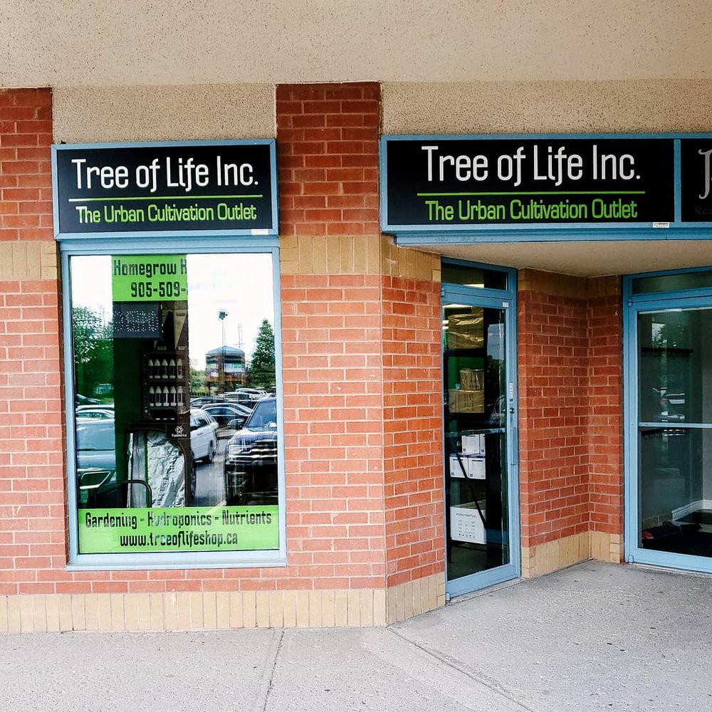 pics Pickering Hydroponics tree of life cannabis hydroponics