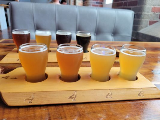 Lucky Pigeon Brewing Co. by null