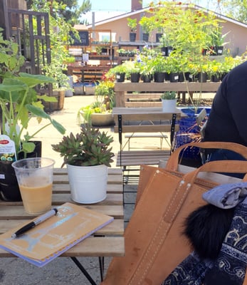 Communal Coffee by null