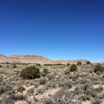 Mojave National Preserve - Desertscape with wild horses grazing - Parks Near Me - Kelso, California