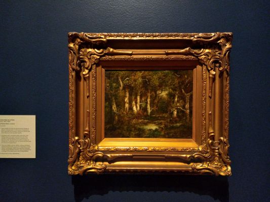Utah Museum of Fine Arts by null