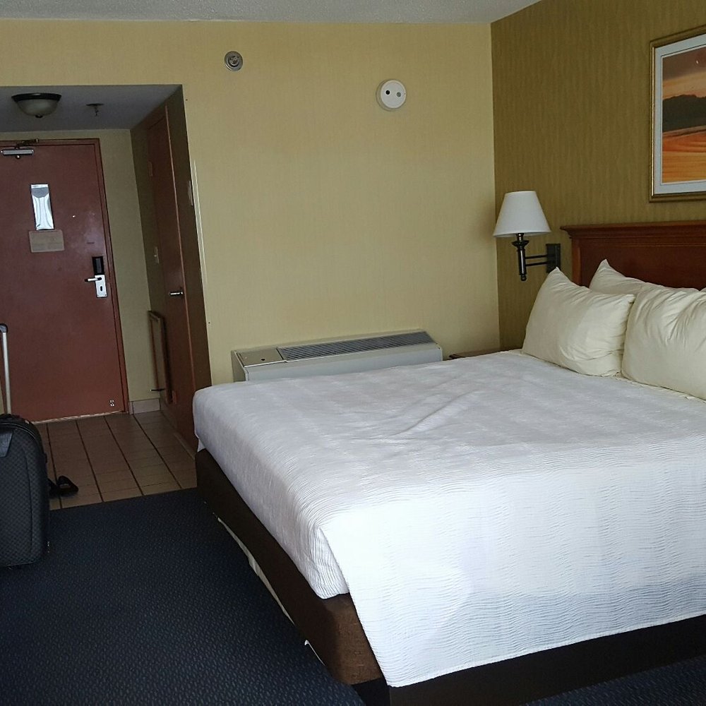 Oceanfront Inn - Hotels Near Me - Virginia Beach, Virginia