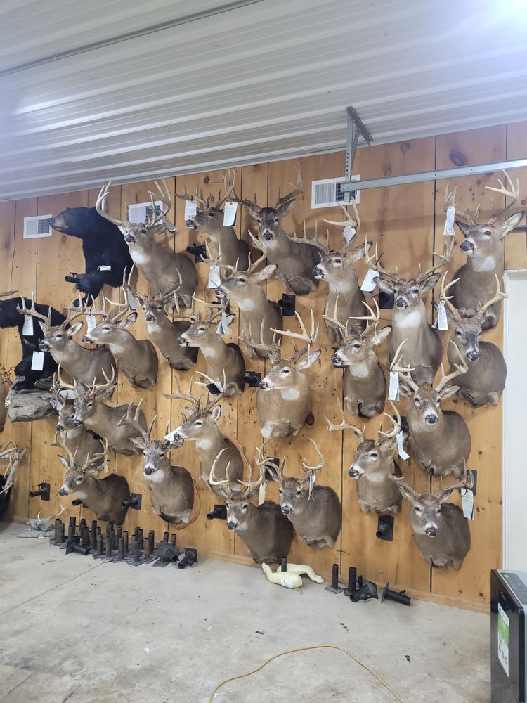 CLC Taxidermy - taxidermy in Ravenna, MI