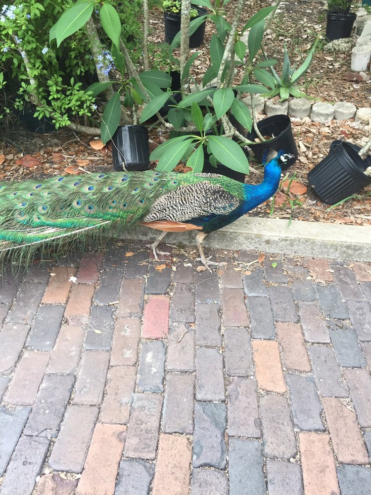 Sacred Lands 12 Photos Community Service/NonProfit 1700 Park St