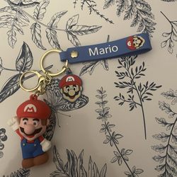 Village Liquor & Market - I bought 3 of these keychains here: they had: Super Mario, Luigi and Mushroom....got 1 of each. I will add another pic to follow.