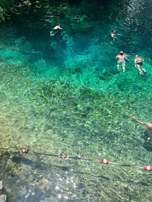 Fanning Springs State Park by null