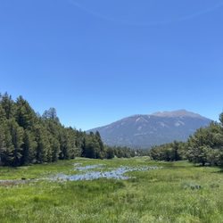 Sierra Mountain Center