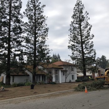 Travis Tree Service - Redwoods - Tree Services Near Me - Fresno, California