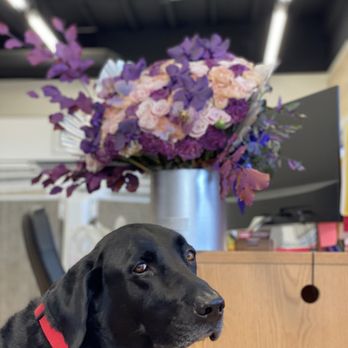 Glamour Flower Boutique - Florists Near Me Glamour Flower Boutique - Florists Near Me