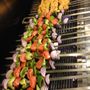 Photo of Pars Cuisine