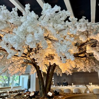 Janken - Japanese Near Me - Portland, Oregon