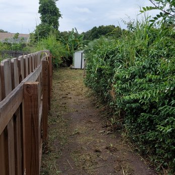 Florida Southern Lawn Maintenance - 1st time trim and mow - Lawn Services Near Me Florida Southern Lawn Maintenance - 1st time trim and mow - Lawn Services Near Me