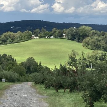 Masker Orchards - Scenery from the orchard - Fruits & Veggies Near Me - Warwick, New York