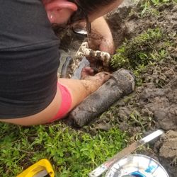 Brian's Plumbing & Sprinklers - (SPRINKLERS) Brian Jr. fixing broken line under sprinkler head.