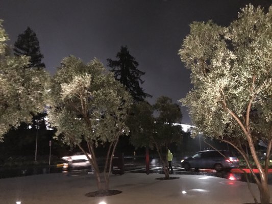 Apple Apple Park Visitor Center by null