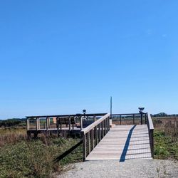 Kankakee Sands Preserve - Bison Viewing area
