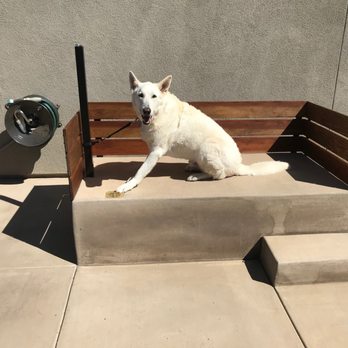 Eco Minded Solutions - Custom dog wash - Landscape Architects or Designers Near Me - San Diego, California
