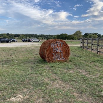 The Jersey Barnyard - Artistically decorated hay. - Farmers Market Near Me - La Grange, Texas The Jersey Barnyard - Artistically decorated hay. - Farmers Market Near Me - La Grange, Texas
