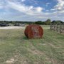 The Jersey Barnyard