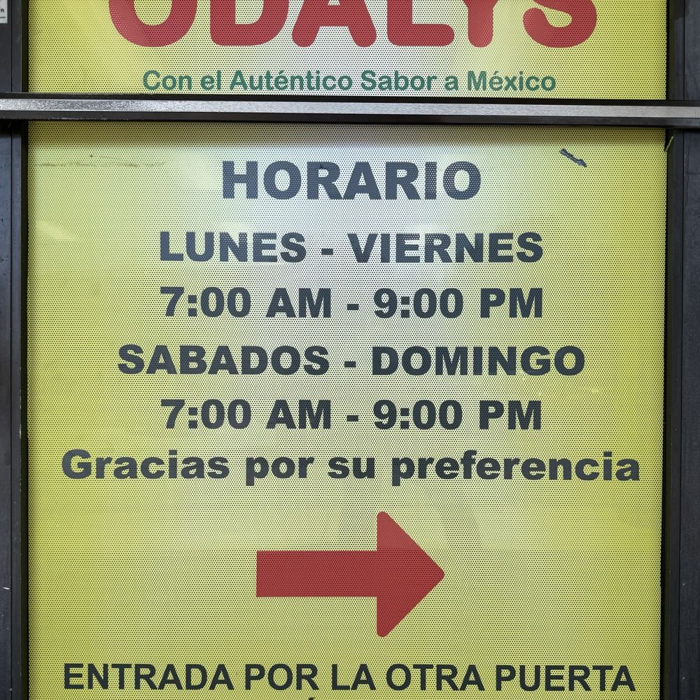 Odalys - Bakeries Near Me - Greensboro, North Carolina Odalys - Bakeries Near Me - Greensboro, North Carolina