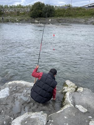 The Bait Shack by null