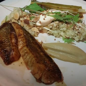 Phil's Kitchen - Fish with risotto - Modern European Near Me - Auckland, AUK