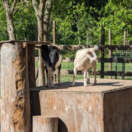 Turquoise Ranch Katy TURQUOISE ACRES RANCH - Updated July 2026 - 64 Photos & 11 Reviews ...