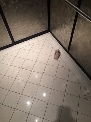 Alexandria Hotel by null