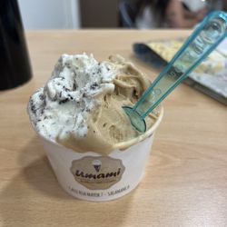 Umami - Large combination Turing, coconut, lotus, and chocolate chips gelato