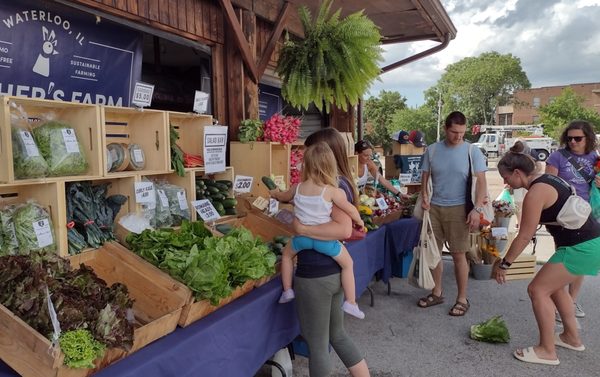 U City Farmers Market by null