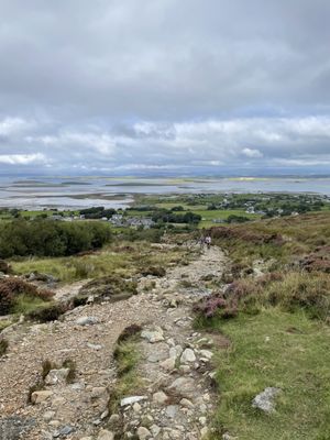 Croagh Patrick by null