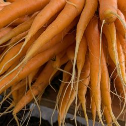 Hollywood Farmers Market - Artful arrangements