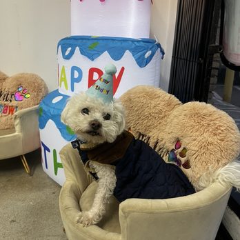 La Pawnaderia - Pet Stores Near Me - Downey, California La Pawnaderia - Pet Stores Near Me - Downey, California