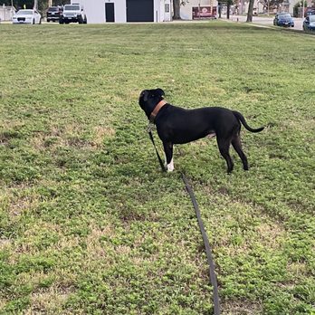 Oh So Sweet Bakery & Cafe - After Today it'll be a struggle walking past, he's not gonna forget about the treats lol - Bakeries Near Me - Carlyle, Illinois