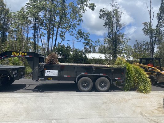 Palm Tree Installation - This customer wanted 2 adult palm trees picked up from the distributor and planted at the front of his driveway. The supplier also needed us to excavate the palms from their planted location. The hole was dug for the palms to be planted in. Palm Tree Installation - This customer wanted 2 adult palm trees picked up from the distributor and planted at the front of his driveway. The supplier also needed us to excavate the palms from their planted location. The hole was dug for the palms to be planted in.