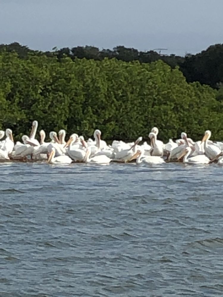 FAMILY CUSTOM CHARTERS 15 Photos 4009 Halifax Dr, Port Orange