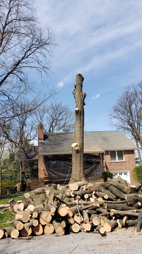 GROUND CARE SOLUTIONS Updated June 2024 10 Photos Reading