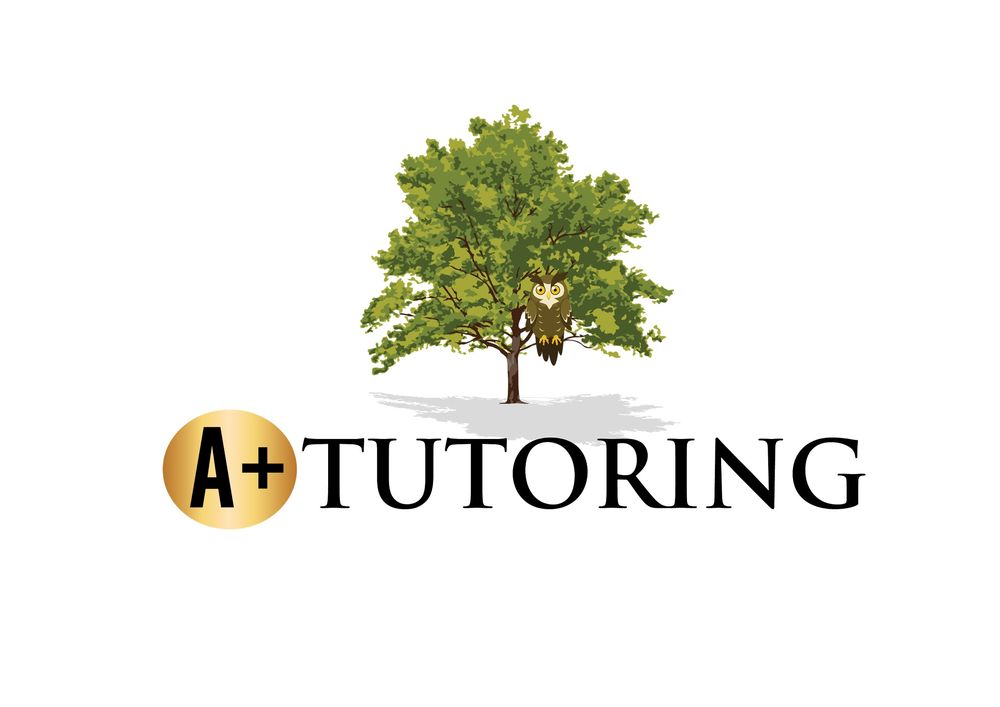 A+ Tutoring - reading tutor in Troy, OH