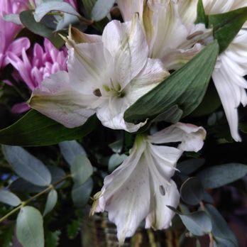 Goodland Florist - Florists Near Me - Goleta, California