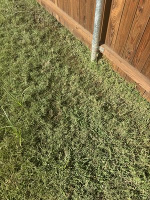 Meritage Homes-Dallas Corporate Office