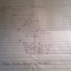 Noommy Pet Supplies And Grooming - this is NOT A VACCINATION RECORD-NOT suppose to be hand written, has no store info no vet info or number