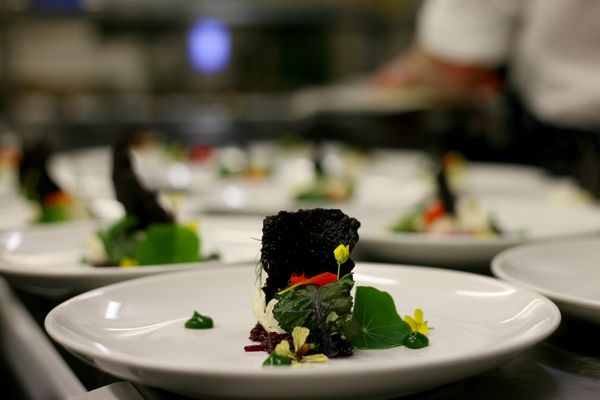 The Whale Inn by null