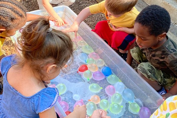 Learning Jungle - San Marcos