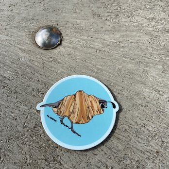 Quail and Condor - Cute sticker for my water bottle. - Coffee & Tea Near Me - Healdsburg, California Quail and Condor - Cute sticker for my water bottle. - Coffee & Tea Near Me - Healdsburg, California