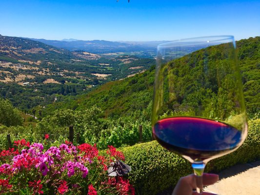 Patland Estate Vineyards by null