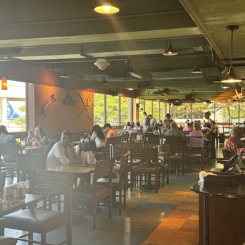 The Local - Plenty of seating; zero ambiance.  Get in, get out. - Bars Near Me - Honolulu, Hawaii