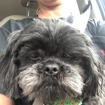 Barkberry Place - Pet Groomers Near Me - Bentonville, Arkansas Barkberry Place - Pet Groomers Near Me - Bentonville, Arkansas