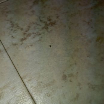 Empire Today - Carpet Installation Near Me
